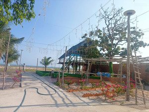 bán đất view trực diện bờ biển !! ngay bãi tắm biển tân thành , hàm thuận nam , bình thuận