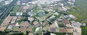 chính chủ cần bán lô bt5 khu b cienco5 mê linh. lh: huy