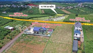 đất chính chủ bán sỉ da lock 87 nền, nguyễn xuân trường, thôn 4 xã lộc quảng, bảo lâm, lâm đồng,