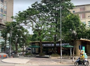 cho thuê nhà mặt phố tại vũ phạm hàm, cầu giấy, diện tích: 90m2, lô góc phố rộng 11m