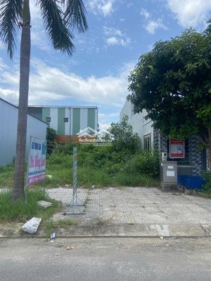 trung lập 9 trục thông lakeside, homeland