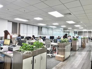 cho thuê vp full nội thất nguyễn trọng tuyển, phú nhuận - dt: 80m2, 120m2, 160m2, 300m2 - giá tốt