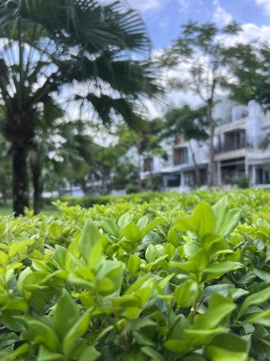 lovera park sổ hồng sẵn mặt tiền đường lớn kinh doanh buôn bán