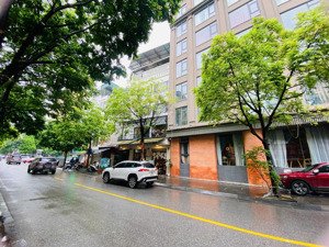 rẻ - đẹp - vip, chính chủ bán tòa nhà phố trần thái tông 9t. lô góc 122m211m mt, 60 tỷ