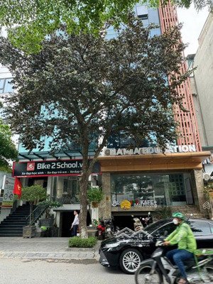 văn phòng cho thuê đường nam kỳ khởi nghĩa, quận 1. diện tích 122m2 cần cho thuê