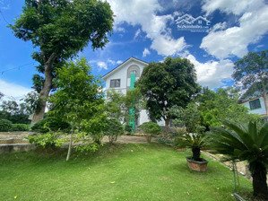 cho thuê khu nghỉ dưỡng 2ha tại quốc oai làm dưỡng lão, homestay