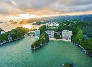 Sốc 1,88 Tỷ(100%gtch) Căn Hộ Flamingo Cát Bà 40m2 đã Sổ đỏ Lợi Nhuận Ngay Hơn 9 Triệu/tháng