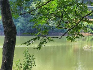 gấp chính chủ bán gấp mảnh đất view hồ tuyệt đẹp, 1000m2 cực phẩm lạc sơn, hòa bình giá rẻ