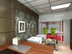 chính chủ cần bán liền kề xẻ khe đường lớn kđt hinode hoài đức