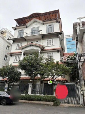 chuyển nhượng mặt tiền phó đức chính, p. ntb, q 1 - 8,2x22m - 5 tầng - hđt: 270tr/tháng - giá 83 tỷ