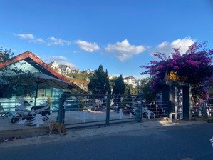 cho thuê hoặc hợp tác kinh doanh homestay-cà phê sân vườn tại biệt thự cổ đường vạn kiếp tp đà lạt