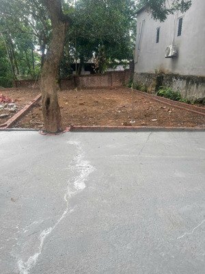 chính chủ cần bán 100 m² thổ cư hoàng xá giá từ 20 - 25 triệu/m²