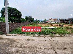 minh phú - sóc sơn, đường rộng, ngõ nông