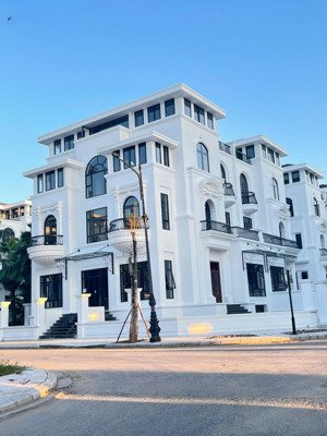 cần tiền gấp, chính chủ cần bán căn biệt thự góc vườn hoa vip nhất tại dự án louis city hoàng mai