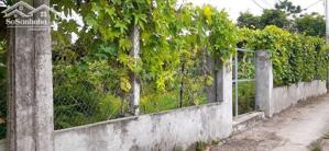 Bán đất tại phường Trường Thi, 10,9 tỷ, 350m2, mặt tiền 25m, pháp lý đầy đủ, tiện ích xung quanh