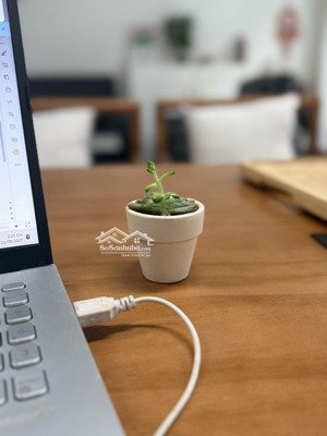 độc quyền cho thuê masteri an phú căn 2pn 2wc, 70m2, đầy đủ nội thất