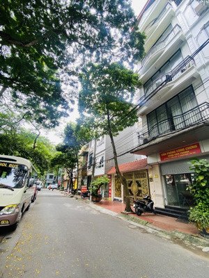 cần bán gấp, bán kín, nhà phân lô pháo đài láng 52m2 - 5t - mt 4.5m - giá 22.999 tỷ - kinh doanh