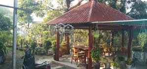 cần bán gấp nhà vườn 2000m2 có 600m2 thổ xã tân quý tây