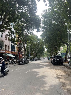 mặt phố víp - vạn phúc ba đình - vỉa hè 7m - kinh doanh - đối diện khách sạn la thành, 60m2 x 5t,