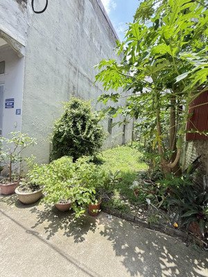 nóng quá -mảnh đất đẹp nhất, duy nhất còn xót tại tứ hiệp, thanh trì!