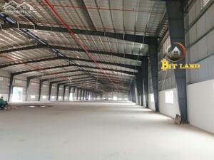 CHO THUÊ XƯỞNG 5000M² MỚI 100% TẠI KCN PHÚ MỸ (BR-VT CŨ ) GIÁ 4$/M²