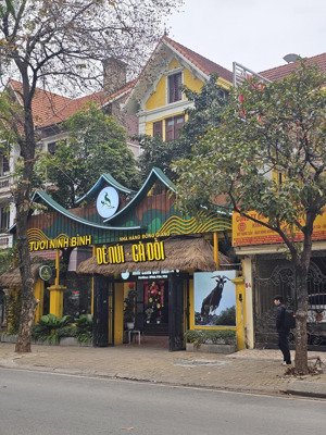 mặt bằng kd spa, thẩm mỹ, ngân hàng ,showrom,vp tại trần phú, 200m²x6t+4 hầm+tum, mt 20m, ba đình