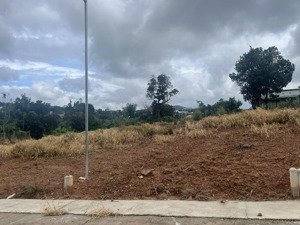 lô góc 2 mặt tiền gia lâm view đồi thông ,320m2 đã có sẵn thổ cư