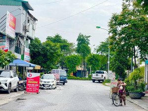 lô góc, view cv, pl, vỉa hè, ô tô tránh, kd, phố cổ linh, lb, dt 100 m, 5 t, mt 20 m, giá 29 tỷ 9