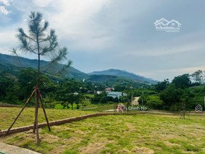 chính chủ bán gấp đất tại xã phú mãn, quốc oai, hà nội, 4,05 tỷ, 265m2 mt10m, oto tránh.