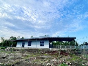 62m x 68m (3654m2 có 100m2 thổ). nhựa phủ hồng