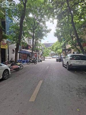 Mặt phố siêu hiếm đỗ hành bán 141M tặng nhà hai bà trưng