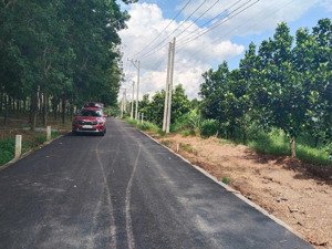 bán đất tại dh507, an linh, phú giáo, bình dương, 380 triệu, 250 m2