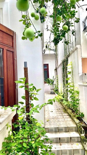 bán biệt thự ven sông hàn đường thăng long 3 tầng - 190m2 - ngang 10m - full nội thất luxury