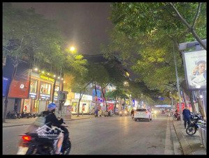 thái hà - phố vip - bán nhà lô góc 2 mặt phố - mt 9m - đẳng cấp thượng lưu cho người sở hữu