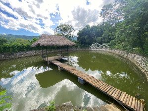 cho thuê làm dưỡng lão, homestay khu 2ha quốc oai
