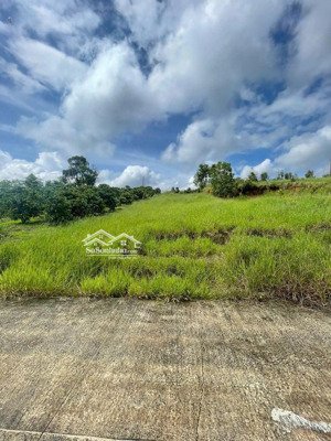 bán đất bảo lộc xã lộc châu 514m qui hoạch thổ cư, sổ hồng lh: 