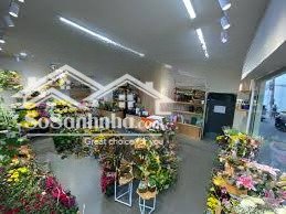 cho thuê nhà mặt phố tô hiến thành, lô góc mặt tiền 10m, diện tích 55m x 5 tầng riêng biệt