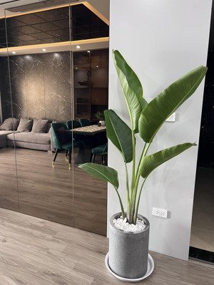 cho thuê căn hộ full đồ mới 100% tại jardin sài đồng, long biên. s: 83m2. giá: 15tr