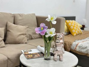cho thuê căn hộ dịch vụ 2 phòng ngủ, bếp riêng, full nội thất, rộng khoảng 60m, được nuôi thú cưng