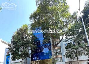 Bán tòa nhà mặt tiền Lê Hồng Phong, Quận 5, 211,6m², đang cho thuê 350 triệu/tháng