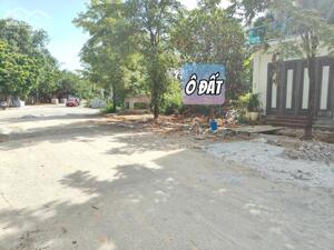 Bán đất mặt đường Quang Trung, Hội Hợp, Vĩnh Yên, Vĩnh Phúc