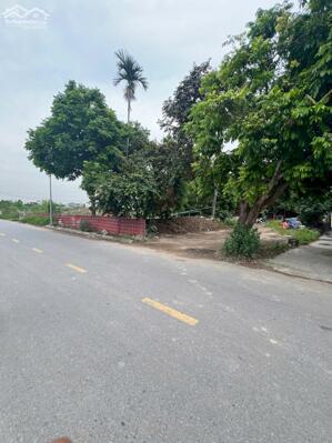 Bán Gấp Lô Góc Đất Thổ Cư Mặt Đường Hoàng Thế Trung, An Đồng, Hải Phòng 98m², Chỉ 4.55 Tỷ!