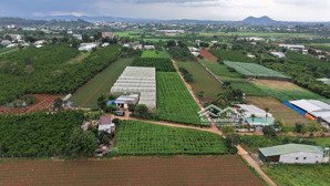 chính chủ bán đất tại đức trọng lâm đồng 730 triệu sổ riêng sẵn thổ cư 121m²