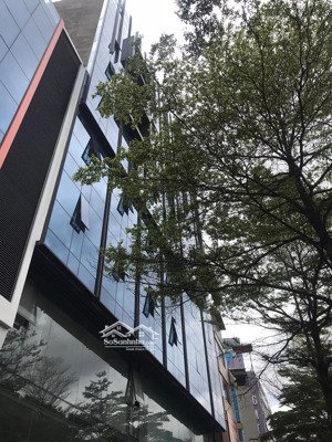 cho thuê tòa tòa nhà 9 tầng mặt phố trình đình cửu 180m, mặt tiền 9m, giá: 200tr/tháng