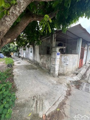 bán gấp lô góc đất thổ cư mặt đường hoàng thế trung, an đồng, hải phòng 98m², chỉ 4.55 tỷ