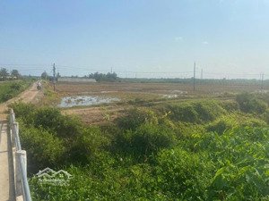 bán gấp 2 lô đất bình phước giá siêu hấp dẫn cho khách đầu chỉ 2ty/ 11.000m2 tư lh: 