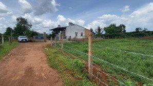 vườn cà phê 9.150m² (200m2 tc) tại iaka, gia lai, cách trường học uỷ ban, đường chính chỉ 350m