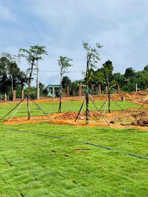 đất sổ đỏ, 327 triệu vốn tự có