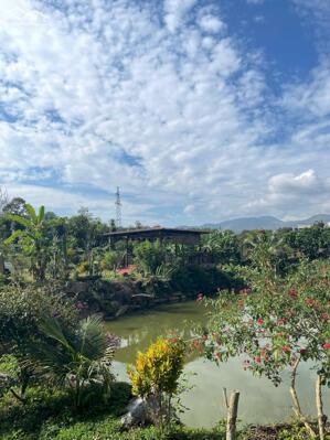 Bán gấp đất nền sân vườn view đẹp 310m2 tại Quốc Lộ 55, phường 2, Lâm Đồng, giá 799 triệu