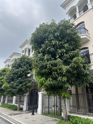biệt thự song lập 127,5m rẻ nhất dự án đối diện công viên sổ đỏ sẵn